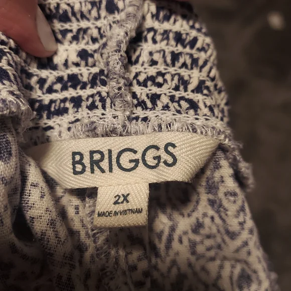 Briggs New York Blue and White stretchy Shorts 2x - Picture 2 of 5